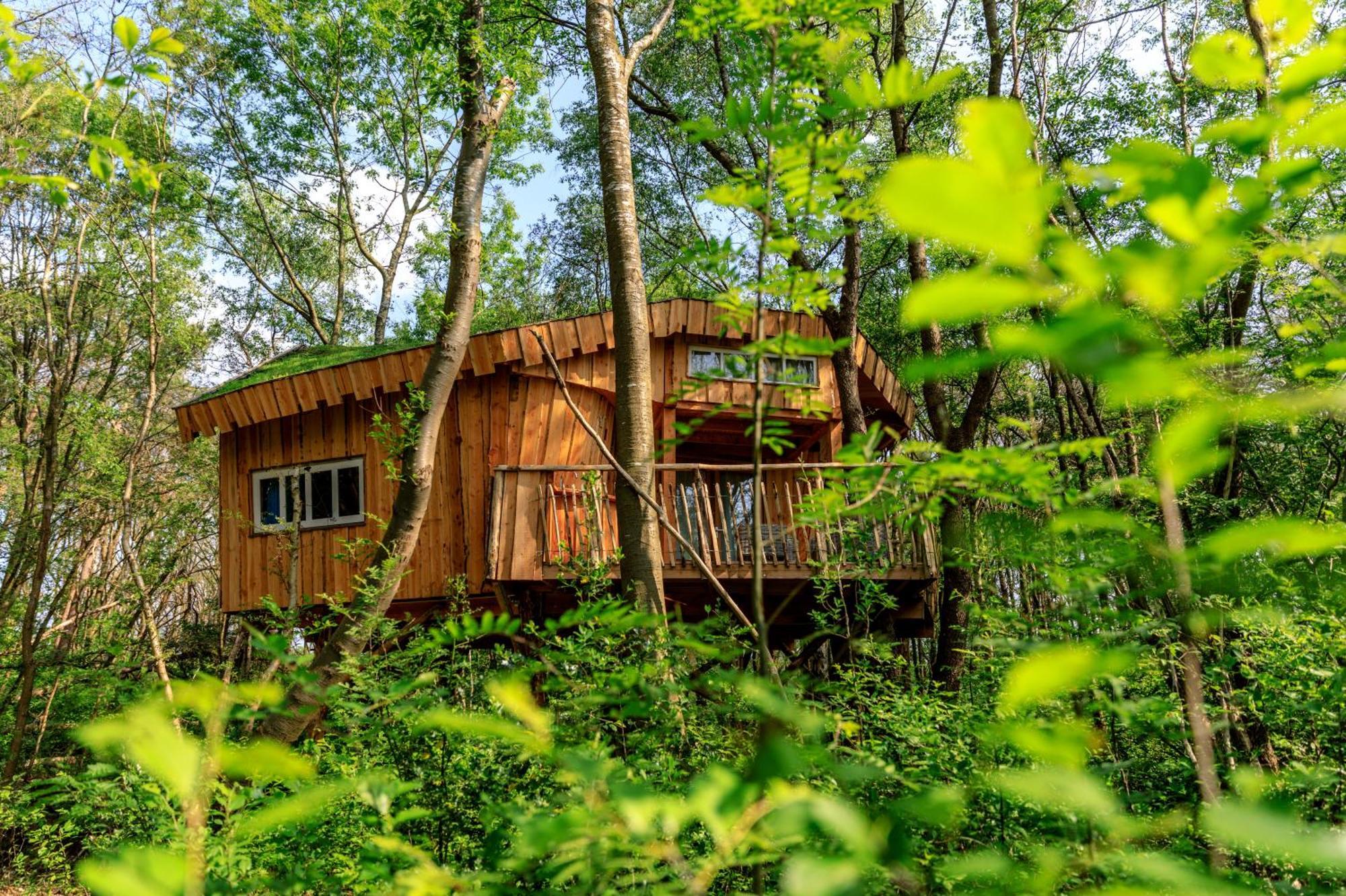 Camping De Reeenwissel Hoogersmilde Екстер'єр фото